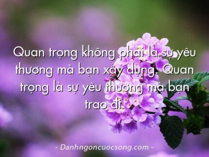 Quan trọng không phải là sự yêu thương mà bạn xây dựng. Quan trọng là sự yêu thương mà bạn trao đi.