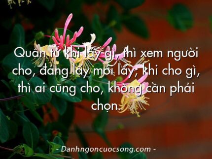 Quân tử khi lấy gì, thì xem người cho, đáng lấy mới lấy; khi cho gì, thì ai cũng cho, không cần phải chọn.