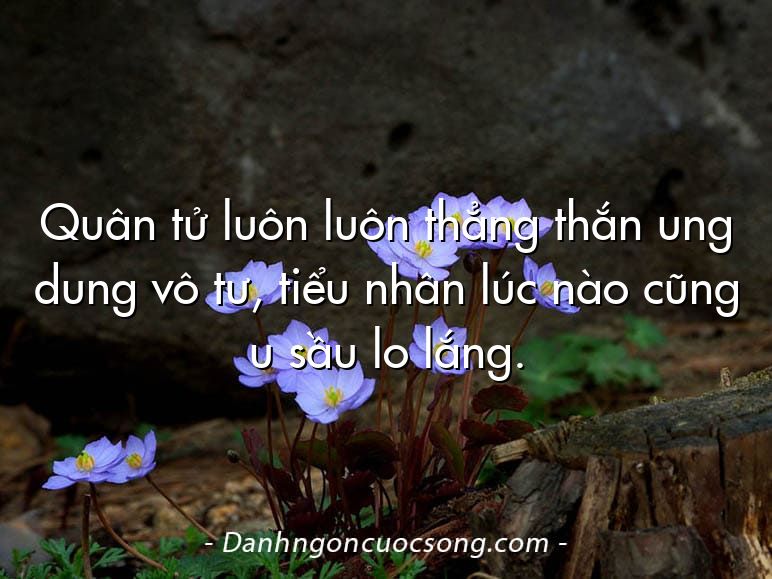 Quân tử luôn luôn thẳng thắn ung dung vô tư, tiểu nhân lúc nào cũng u sầu lo lắng.