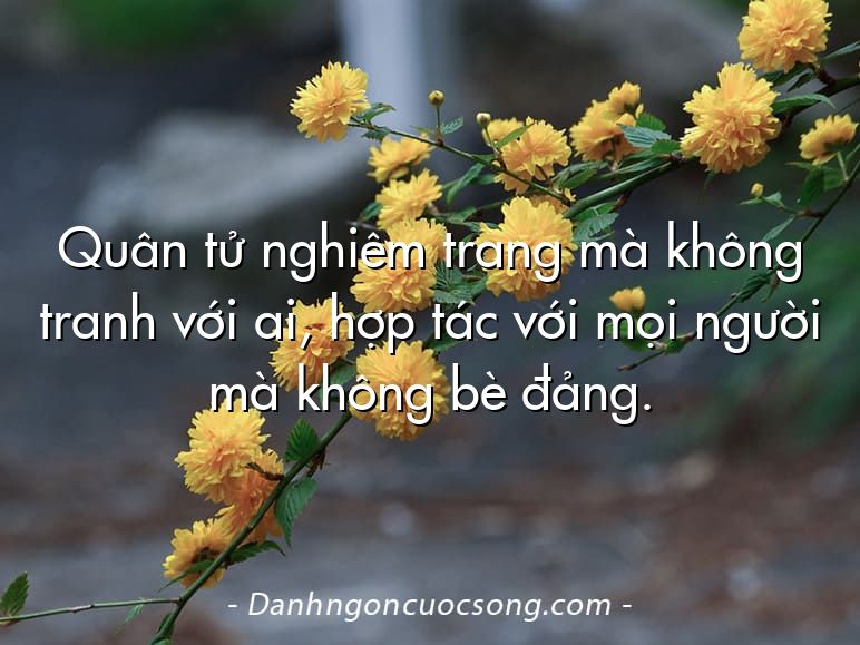 Quân tử nghiêm trang mà không tranh với ai, hợp tác với mọi người mà không bè đảng.