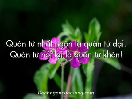 Quân tử nhất ngôn là quân tử dại. Quân tử nói lại là quân tử khôn!