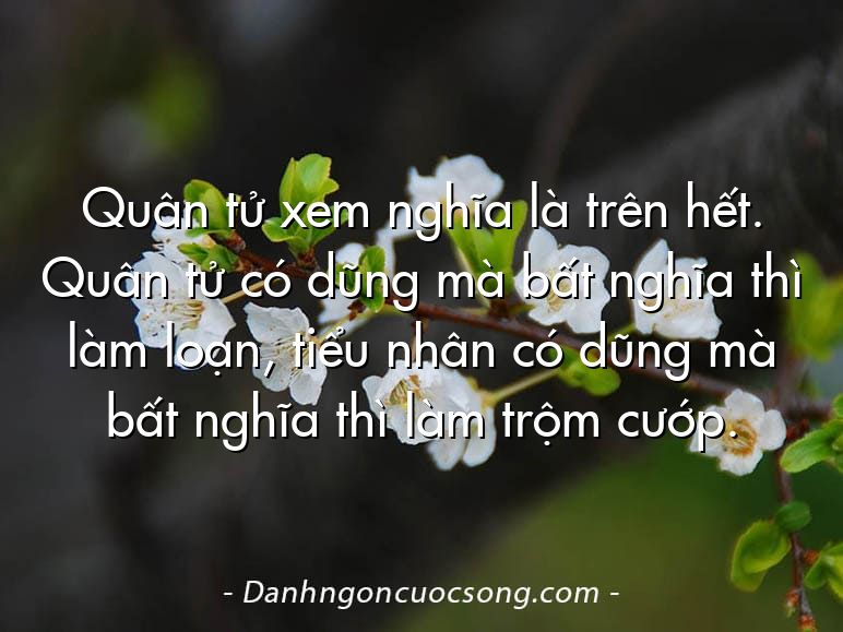 Quân tử xem nghĩa là trên hết. Quân tử có dũng mà bất nghĩa thì làm loạn, tiểu nhân có dũng mà bất nghĩa thì làm trộm cướp.