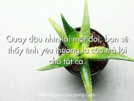 Quay đầu nhìn lại một đời, bạn sẽ thấy tình yêu thương là câu trả lời cho tất cả.