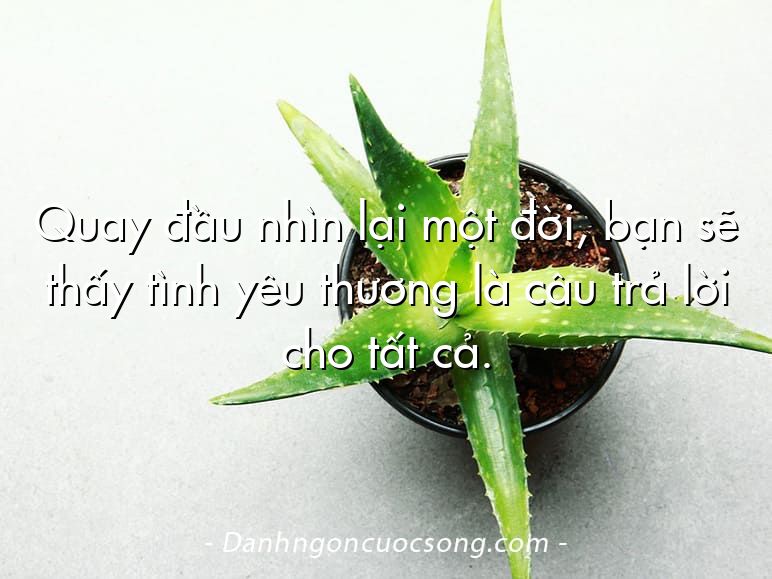 Quay đầu nhìn lại một đời, bạn sẽ thấy tình yêu thương là câu trả lời cho tất cả.