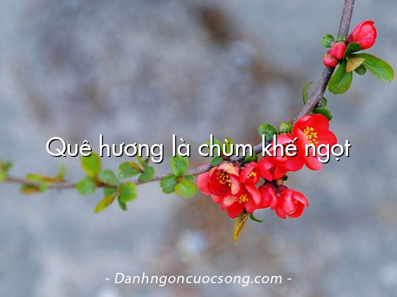 Quê hương là chùm khế ngọt