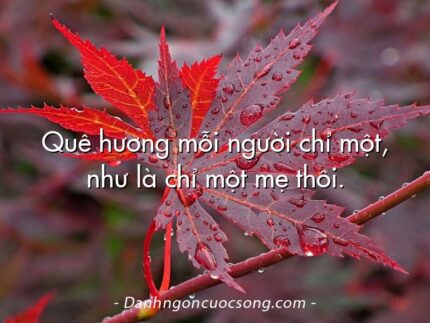 Quê hương mỗi người chỉ một, như là chỉ một mẹ thôi.
