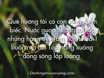 Quê hương tôi có con sông xanh biếc. Nước gương trong soi tóc những hàng tre. Tâm hồn tôi là 1 buổi trưa hè. Tỏa nắng xuống dòng sông lấp loáng.