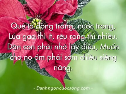Quê ta đồng trắng, nước trong, Lúa gạo thì ít, rêu rong thì nhiều. Dặn con phải nhớ lấy điều, Muốn cho no ấm phải sớm chiều siêng năng.