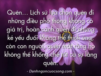 Quên… Lịch sử lựa chọn quên đi những điều phổ thông không có giá trị, hoàn cảnh quên đi những kẻ yếu đuối không thể thích ứng; còn con người, quên mất rằng họ không thể khống chế tất cả sự lãng quên.