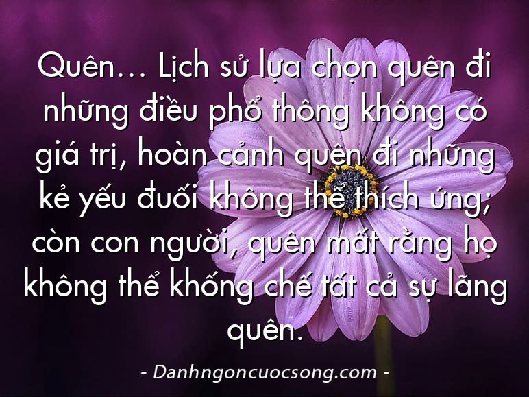 Quên… Lịch sử lựa chọn quên đi những điều phổ thông không có giá trị, hoàn cảnh quên đi những kẻ yếu đuối không thể thích ứng; còn con người, quên mất rằng họ không thể khống chế tất cả sự lãng quên.