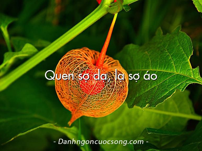 Quen sợ dạ, lạ sợ áo