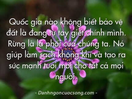 Quốc gia nào không biết bảo vệ đất là đang tự tay giết chính mình. Rừng là lá phổi của chúng ta. Nó giúp làm sạch không khí và tạo ra sức mạnh tươi mới cho tất cả mọi người.