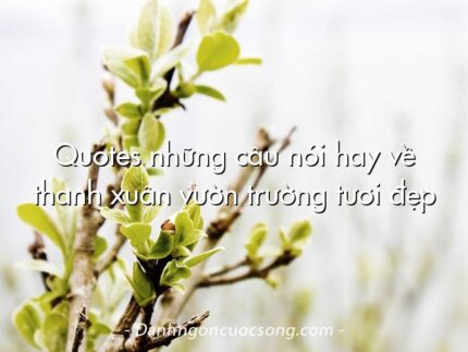Quotes những câu nói hay về thanh xuân vườn trường tươi đẹp
