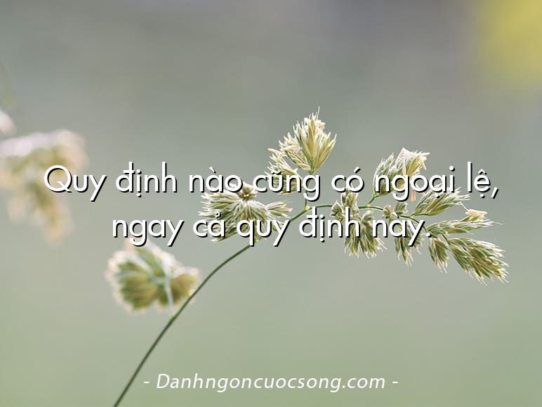 Quy định nào cũng có ngoại lệ, ngay cả quy định này.