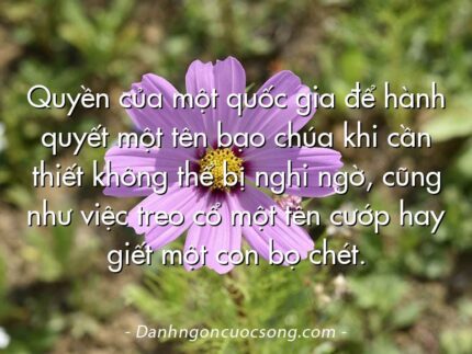 Quyền của một quốc gia để hành quyết một tên bạo chúa khi cần thiết không thể bị nghi ngờ, cũng như việc treo cổ một tên cướp hay giết một con bọ chét.