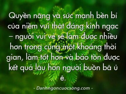 Quyền năng và sức mạnh bền bỉ của niềm vui thật đáng kinh ngạc – người vui vẻ sẽ làm được nhiều hơn trong cùng một khoảng thời gian, làm tốt hơn và bảo tồn được kết quả lâu hơn người buồn bã ủ ê.