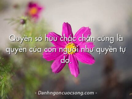 Quyền sở hữu chắc chắn cũng là quyền của con người như quyền tự do.
