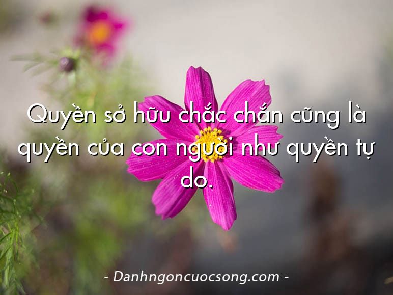 Quyền sở hữu chắc chắn cũng là quyền của con người như quyền tự do.