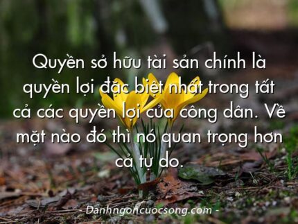 Quyền sở hữu tài sản chính là quyền lợi đặc biệt nhất trong tất cả các quyền lợi của công dân. Về mặt nào đó thì nó quan trọng hơn cả tự do.