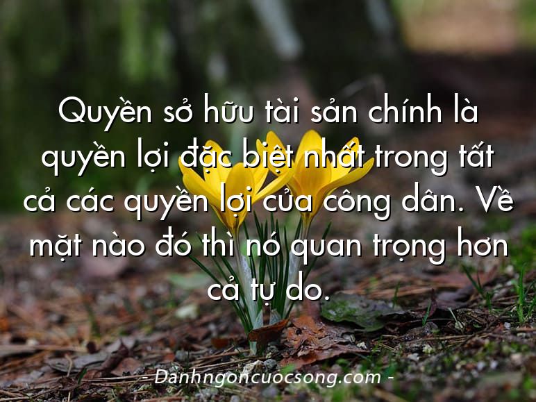 Quyền sở hữu tài sản chính là quyền lợi đặc biệt nhất trong tất cả các quyền lợi của công dân. Về mặt nào đó thì nó quan trọng hơn cả tự do.