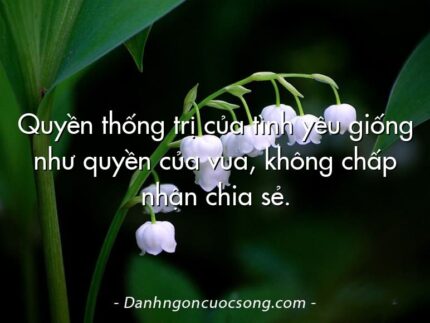 Quyền thống trị của tình yêu giống như quyền của vua, không chấp nhận chia sẻ.