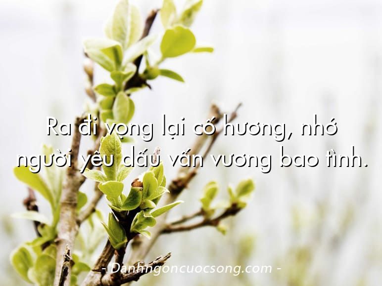 Ra đi vọng lại cố hương, nhớ người yêu dấu vấn vương bao tình.