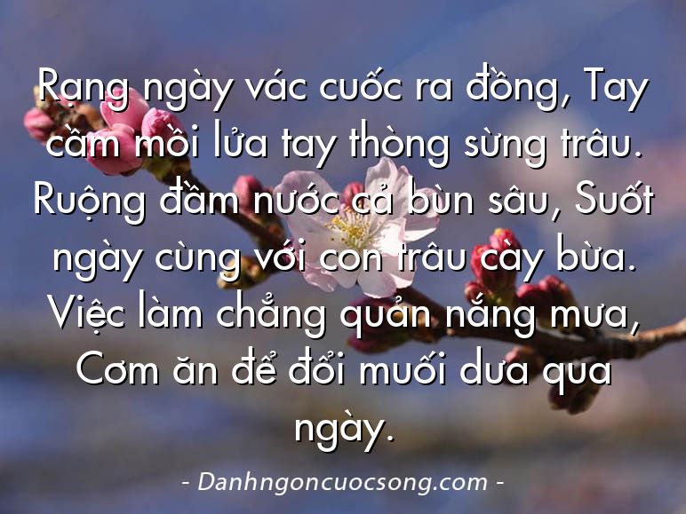 Rạng ngày vác cuốc ra đồng, Tay cầm mồi lửa tay thòng sừng trâu. Ruộng đầm nước cả bùn sâu, Suốt ngày cùng với con trâu cày bừa. Việc làm chẳng quản nắng mưa, Cơm ăn để đổi muối dưa qua ngày.
