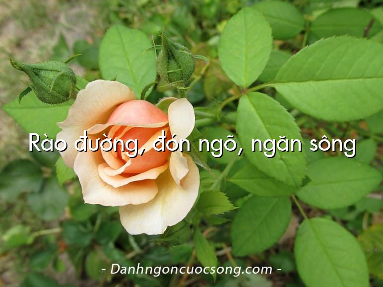 Rào đường, đón ngõ, ngăn sông