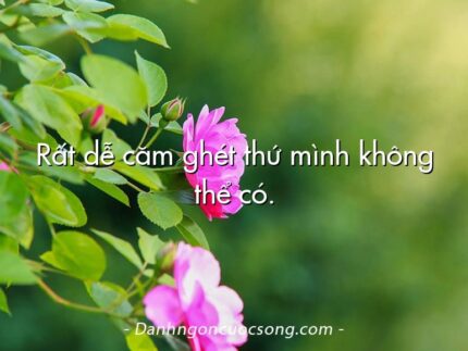 Rất dễ căm ghét thứ mình không thể có.
