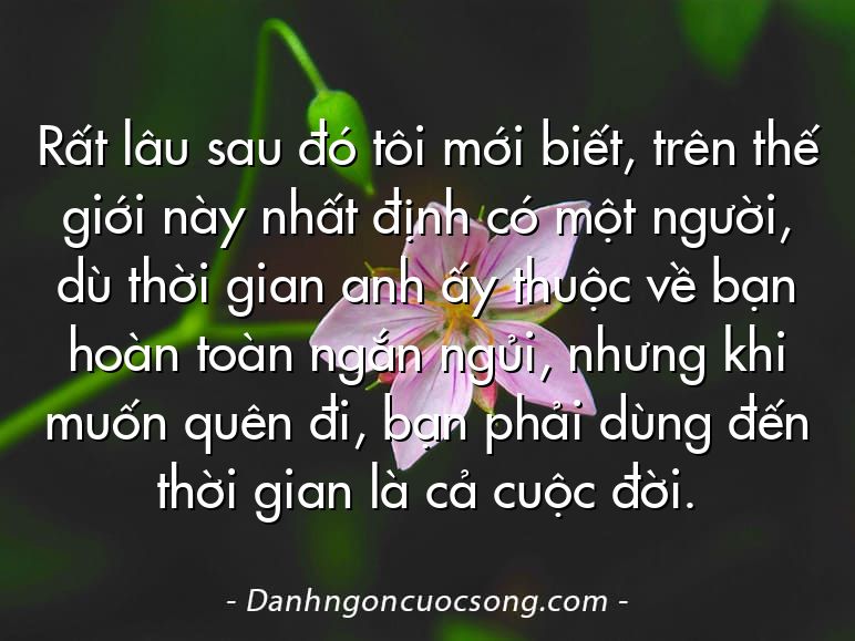 Rất lâu sau đó tôi mới biết, trên thế giới này nhất định có một người, dù thời gian anh ấy thuộc về bạn hoàn toàn ngắn ngủi, nhưng khi muốn quên đi, bạn phải dùng đến thời gian là cả cuộc đời.
