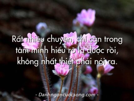 Rất nhiều chuyện, chỉ cần trong tâm mình hiểu rõ là được rồi, không nhất thiết phải nói ra.