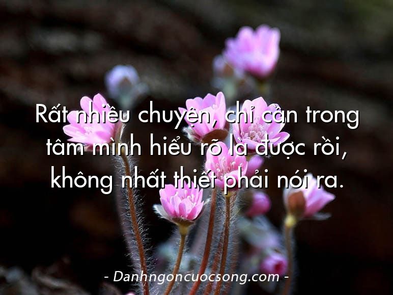 Rất nhiều chuyện, chỉ cần trong tâm mình hiểu rõ là được rồi, không nhất thiết phải nói ra.