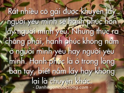 Rất nhiều cô gái được khuyên lấy người yêu mình sẽ hạnh phúc hơn lấy người mình yêu. Nhưng thực ra chẳng phải, hạnh phúc không nằm ở người mình yêu hay người yêu mình. Hạnh phúc là ở trong lòng bàn tay, biết nắm lấy hay không lại là chuyện khác.