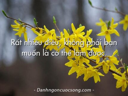 Rất nhiều điều, không phải bạn muốn là có thể làm được.