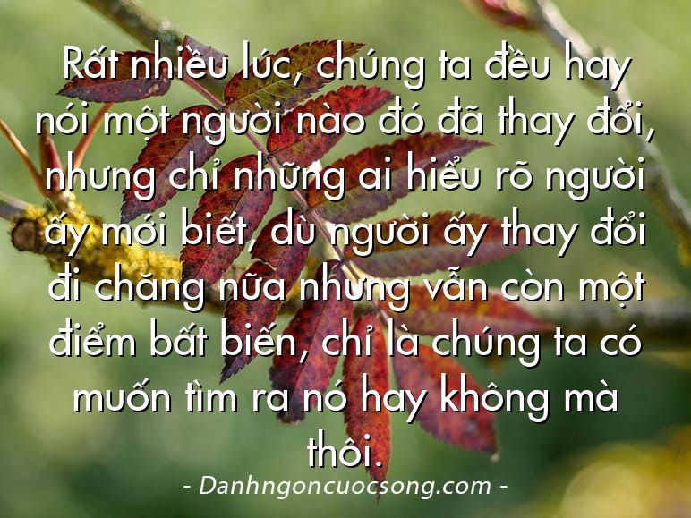Rất nhiều lúc, chúng ta đều hay nói một người nào đó đã thay đổi, nhưng chỉ những ai hiểu rõ người ấy mới biết, dù người ấy thay đổi đi chăng nữa nhưng vẫn còn một điểm bất biến, chỉ là chúng ta có muốn tìm ra nó hay không mà thôi.
