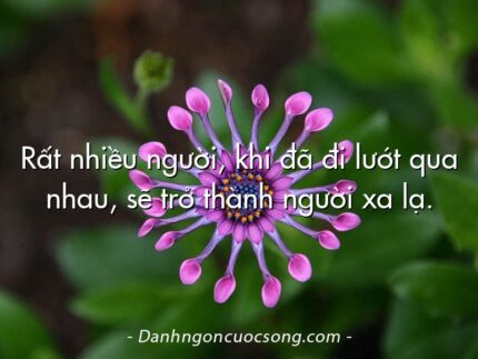 Rất nhiều người, khi đã đi lướt qua nhau, sẽ trở thành người xa lạ.