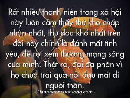 Rất nhiều thanh niên trong xã hội này luôn cảm thấy thứ khó chấp nhận nhất, thứ đau khổ nhất trên đời này chính là đánh mất tình yêu, để rồi xem thường mạng sống của mình. Thật ra, đại đa phần vì họ chưa trải qua nỗi đau mất đi người thân.