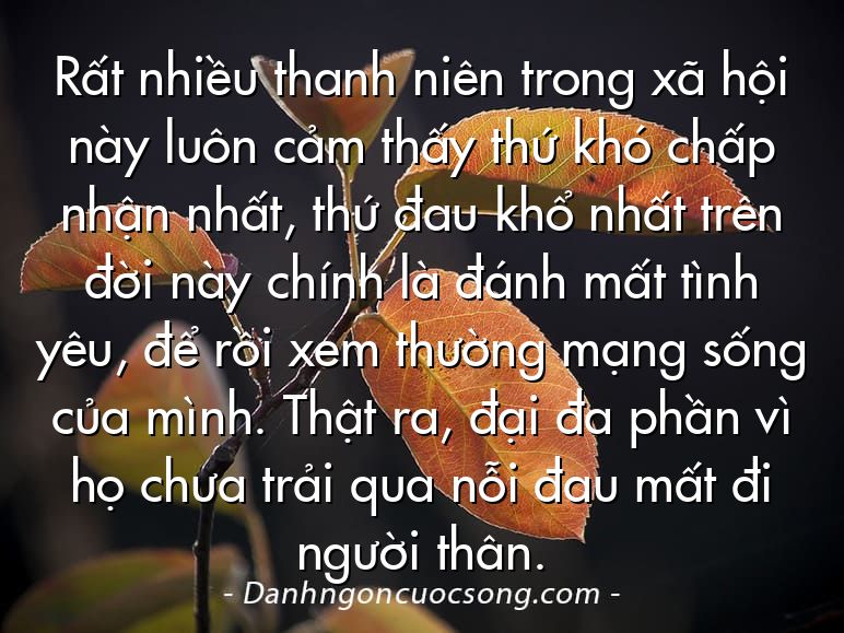 Rất nhiều thanh niên trong xã hội này luôn cảm thấy thứ khó chấp nhận nhất, thứ đau khổ nhất trên đời này chính là đánh mất tình yêu, để rồi xem thường mạng sống của mình. Thật ra, đại đa phần vì họ chưa trải qua nỗi đau mất đi người thân.