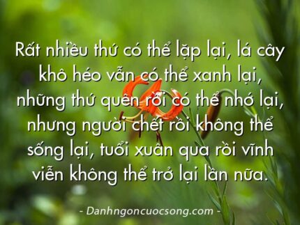 Rất nhiều thứ có thể lặp lại, lá cây khô héo vẫn có thể xanh lại, những thứ quên rồi có thể nhớ lại, nhưng người chết rồi không thể sống lại, tuổi xuân qua rồi vĩnh viễn không thể trở lại lần nữa.