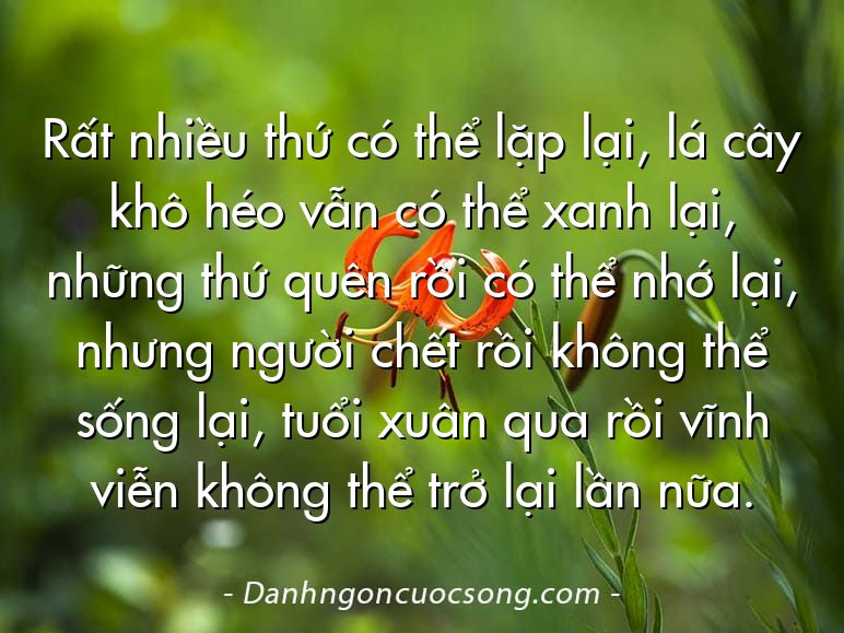 Rất nhiều thứ có thể lặp lại, lá cây khô héo vẫn có thể xanh lại, những thứ quên rồi có thể nhớ lại, nhưng người chết rồi không thể sống lại, tuổi xuân qua rồi vĩnh viễn không thể trở lại lần nữa.