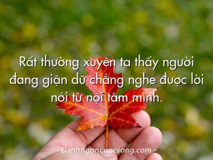 Rất thường xuyên ta thấy người đang giận dữ chẳng nghe được lời nói từ nội tâm mình.