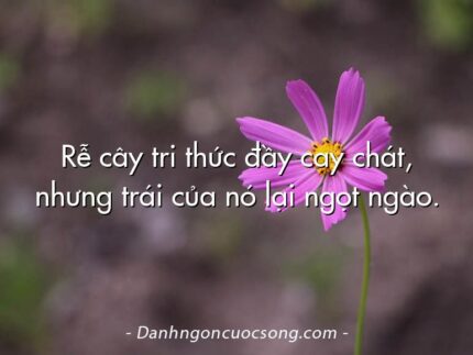 Rễ cây tri thức đầy cay chát, nhưng trái của nó lại ngọt ngào.