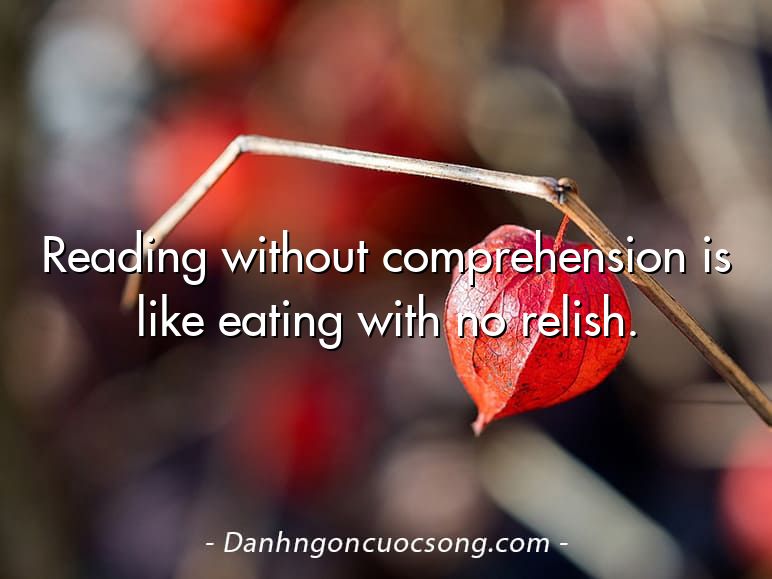 Reading without comprehension is like eating with no relish.