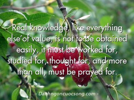 Real knowledge, like everything else’of value, is not to be obtained easily, it must be worked for, studied for, thought for, and more than all, must be prayed for.