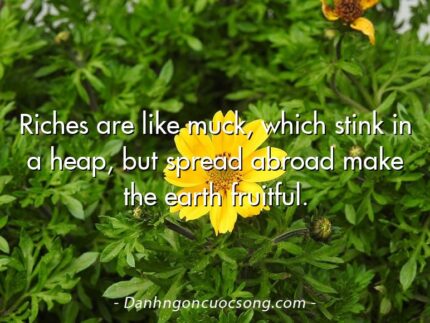 Riches are like muck, which stink in a heap, but spread abroad make the earth fruitful.