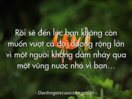 Rồi sẽ đến lúc bạn không còn muốn vượt cả đại dương rộng lớn vì một người không dám nhảy qua một vũng nước nhỏ vì bạn…