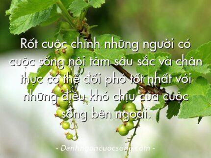 Rốt cuộc chính những người có cuộc sống nội tâm sâu sắc và chân thực có thể đối phó tốt nhất với những điều khó chịu của cuộc sống bên ngoài.