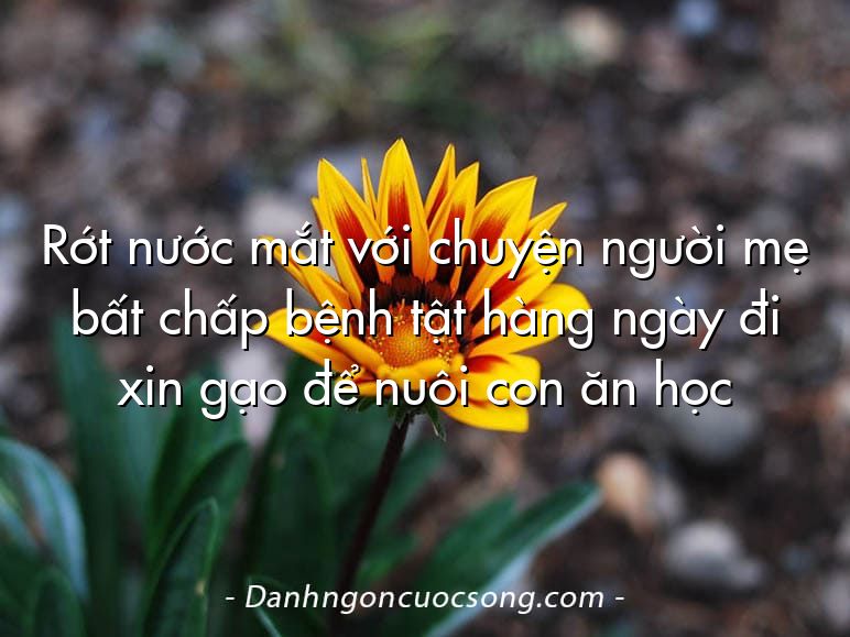 Rớt nước mắt với chuyện người mẹ bất chấp bệnh tật hàng ngày đi xin gạo để nuôi con ăn học