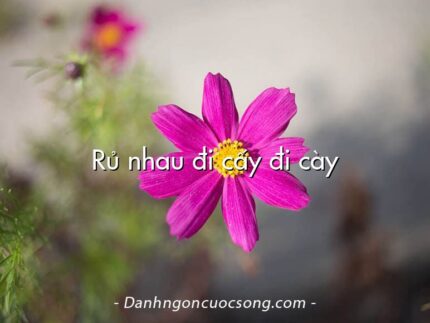 Rủ nhau đi cấy đi cày