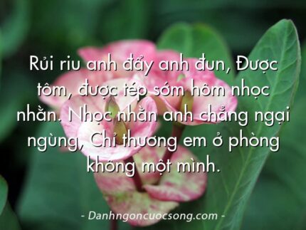 Rủi riu anh đẩy anh đun, Được tôm, được tép sớm hôm nhọc nhằn. Nhọc nhằn anh chẳng ngại ngùng, Chỉ thương em ở phòng không một mình.